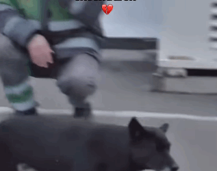 H1511005 Herido, solo sin esperanza así me encontraron (Parte 2)