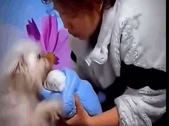 H1511012 lo seinto no queria hacerte llorar con esta historia(Parte 2)