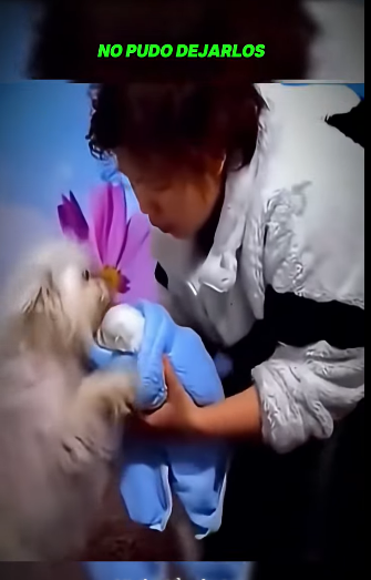 H1511012 lo seinto no queria hacerte llorar con esta historia(Parte 2)