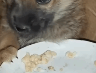 H1511001 Mi vida era temblar lloraba por miedo (Parte 2)