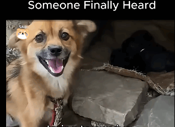 A1611002 Mother Cry Help Someone Finally Heard