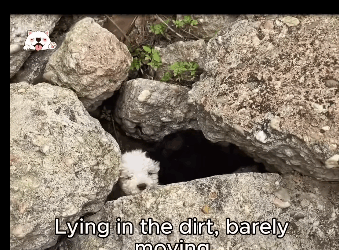 A1611004 She Couldn Speak But Her Eyes Said Everything (Part 2)