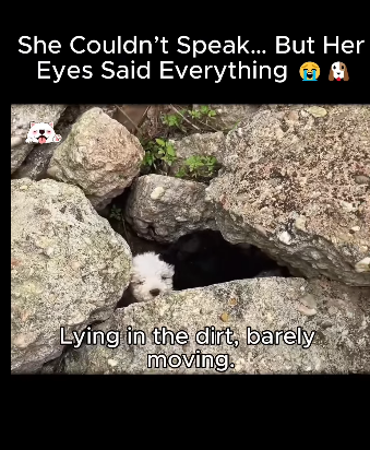 A1611004 She Couldn Speak But Her Eyes Said Everything (Part 2)