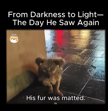 A1611006 Darkness to Light Day He Saw Again (Part 2)