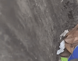 Saving one little life today (Part 2)