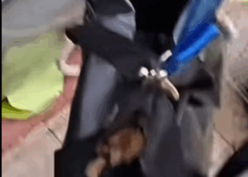 He came from nothing… now he has everything. (Part 2)