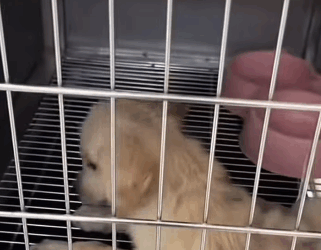 From pain to hope — watch his journey (Part 2)