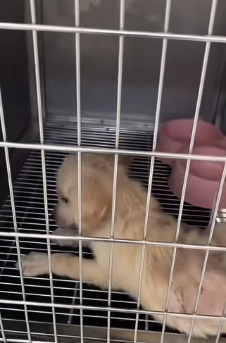 From pain to hope — watch his journey (Part 2)