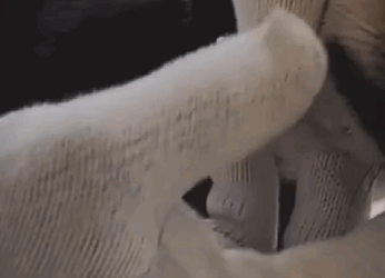 Perrito fue rescatado al caer un pozo de agua #subscribe#shorts#virals part2