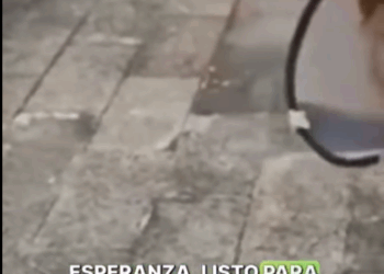 Este perrito tenia su cuerpito muy enfermito #subscribe #shorts #virals_part2