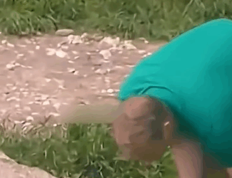 A1511012 Cachorros de león (Parte 2)