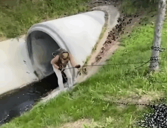 A1511007 Rescate de ciervos (Parte 2)