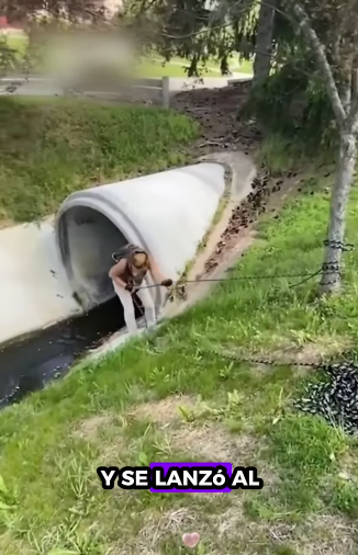 A1511007 Rescate de ciervos (Parte 2)