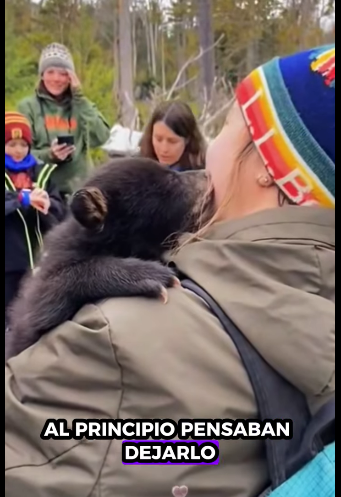 R1511006 Rescate de un cachorro de oso negro (Parte 2)