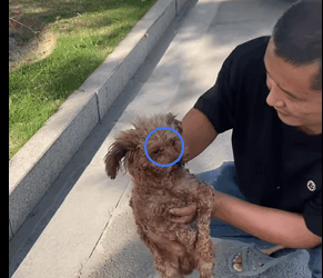 When you see suffering, don’t turn away — be the reason it ends (Part 2)