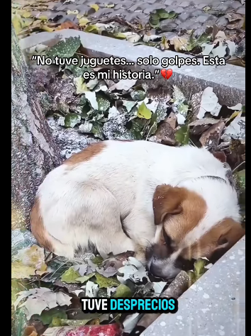 H1711002 No tuve juguetes solo golpes (Parte 2)