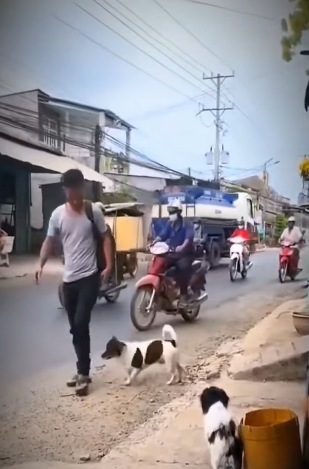 H1811004 se reencuentran después de largos años (Parte 2)