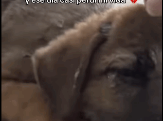 H1711003 Me golpearon por una chancleta ese día casi perdí mi vida (Parte 2)