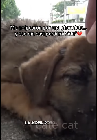 H1711003 Me golpearon por una chancleta ese día casi perdí mi vida (Parte 2)