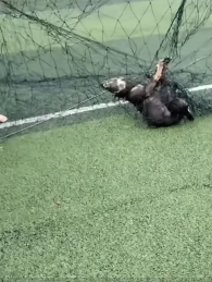 U1811001 Un corazΓ³n salvado es un corazΓ³n ganado (Parte 2)