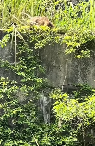 U1811004 Hoy dejamos huellas de esperanza. (Parte 2)