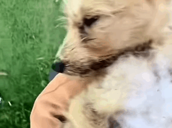 Lloraba de dolor pero nadie volvió por mi (Part 2)