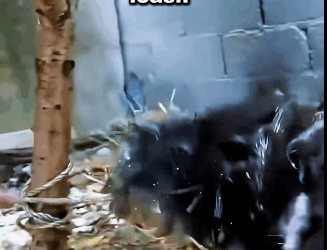 E1511001 From fear to hope — watch this little life shine again (Part 2)