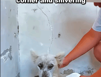 E1511001 From fear to hope — watch this little life shine again (Part 2)