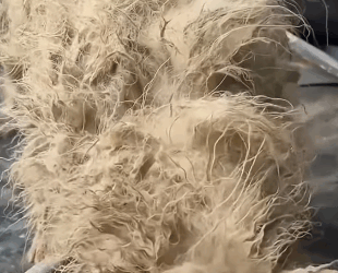 E1211006 El rescate no tiene precio, tiene corazón (Part 2)