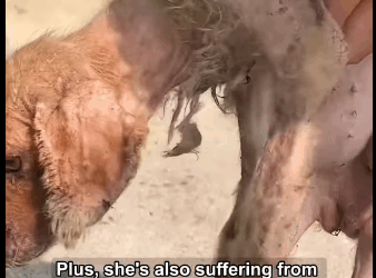 Salvar vidas da sentido al amor (Part 2)