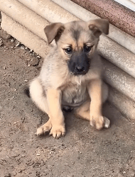 E1011006 Rescatar es creer que la bondad humana puede cambiar destinos (Parte 2)