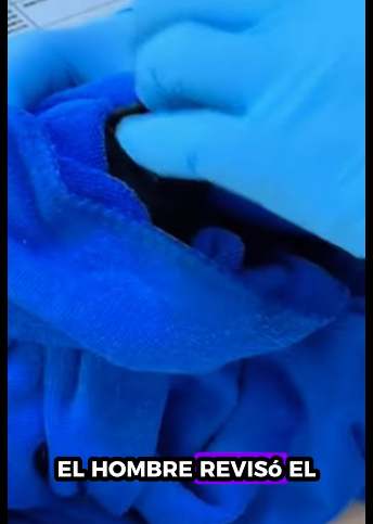 A1711007 Rescatar los cuervos (Parte 2)