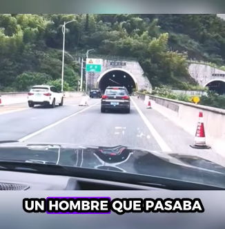 A1711009 Cerdos rescatados (Parte 2)