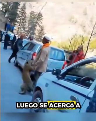 R1811004 Rescatar al leopardo (Parte 2)