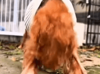 “Me castigaron por tener hambre… y jamás volví a correr” (Part 2)