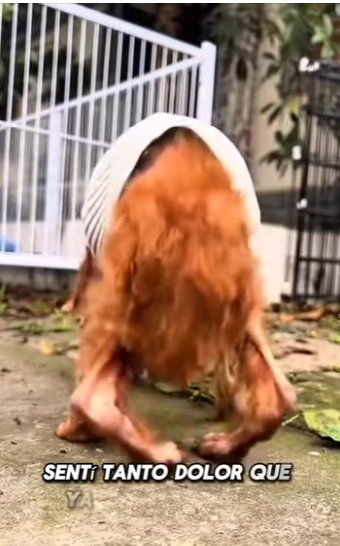 “Me castigaron por tener hambre… y jamás volví a correr” (Part 2)