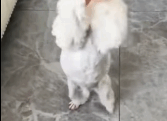 “Me tiraron por ser feo… y descubrí el amor verdadero” (Part 2)