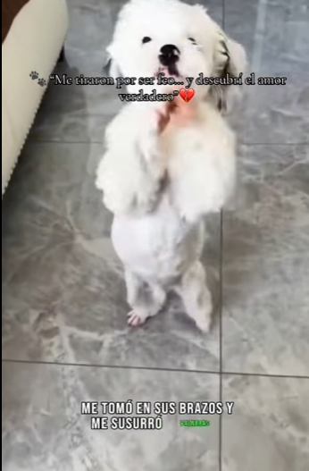 “Me tiraron por ser feo… y descubrí el amor verdadero” (Part 2)