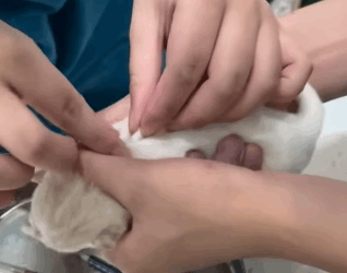 R1611001 found newborn puppy next to trash can brought it home to (Part 2)