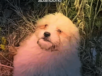 Mi crimen fue nacer discapacitado mi castigo, el abandono (Parte 2)