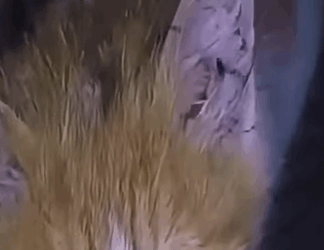 Duro más de días en un hueco (Parte 2)