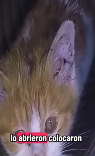 Duro más de días en un hueco (Parte 2)