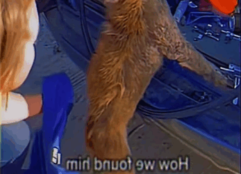 Un final feliz (Parte 2)