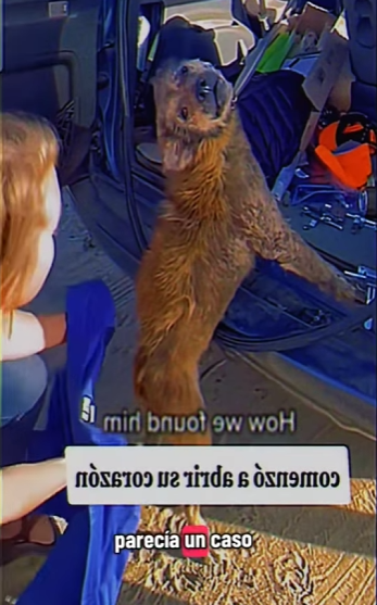 Un final feliz (Parte 2)