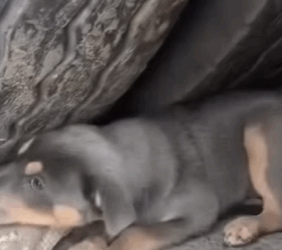 “Temblando de miedo… así aprendí a vivir desde que nací” (Part 2)