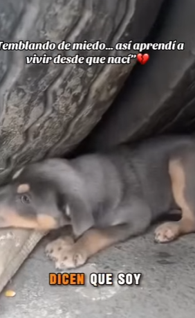 “Temblando de miedo… así aprendí a vivir desde que nací” (Part 2)