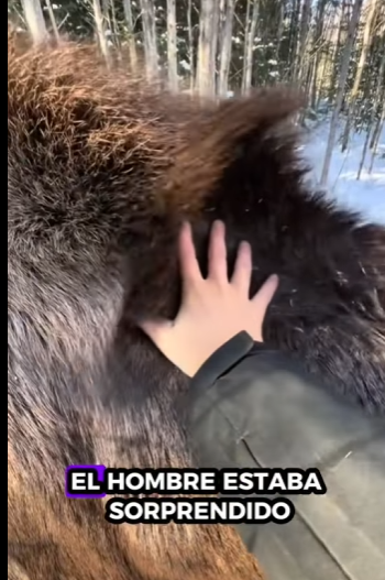 R2411006 Rescatar al alce (Parte 2)