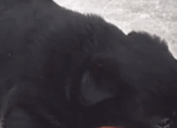 “Fui basura para ellos… pero en mi corazón solo había amor” (Part 2)