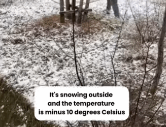 A2511010 Rescue dog fell into water (Part 2)