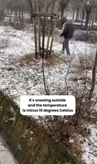 A2511010 Rescue dog fell into water (Part 2)